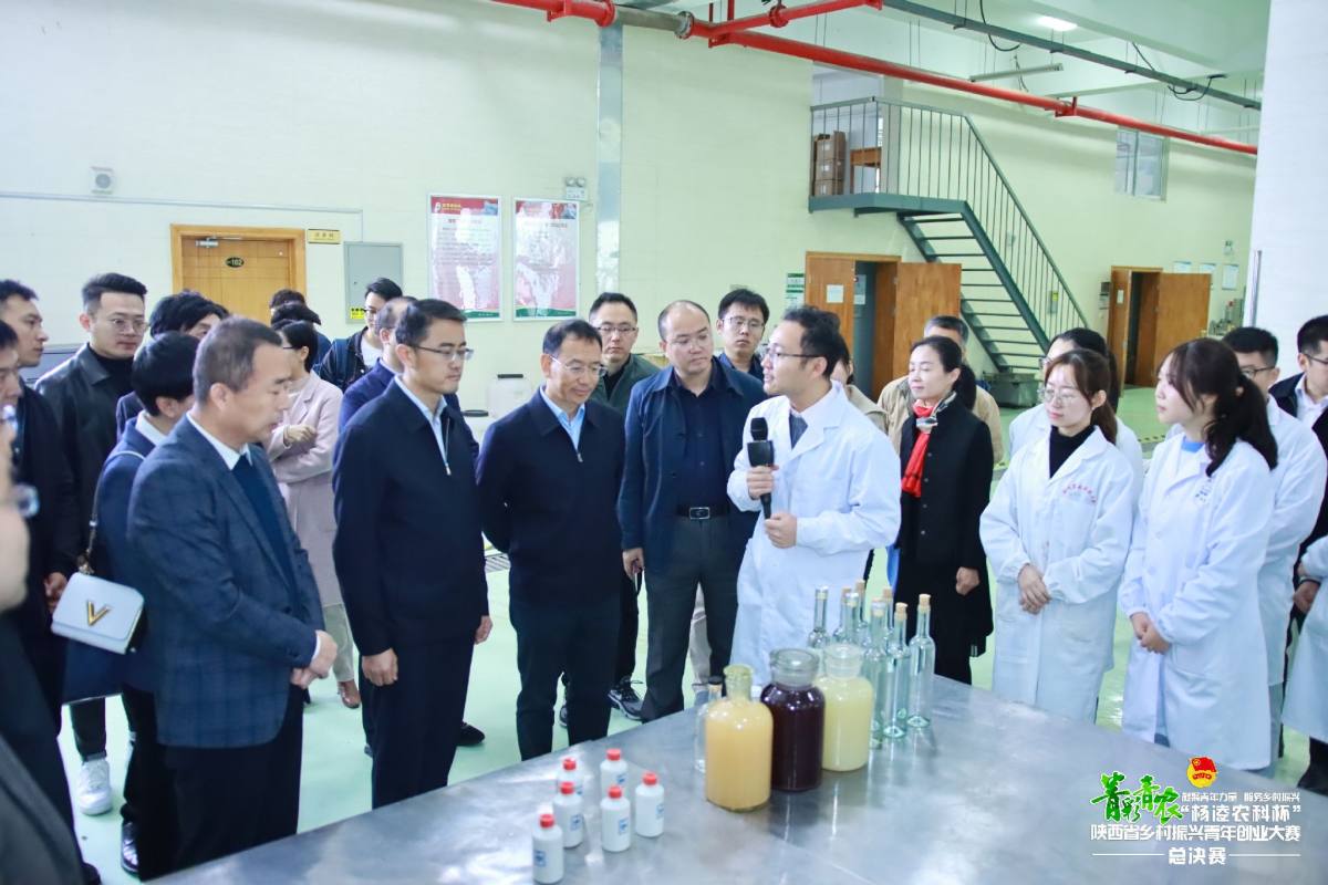 da1de68578e24b61833ec207ffb63b1f.jpeg da1de68578e24b61833ec207ffb63b1f.jpeg