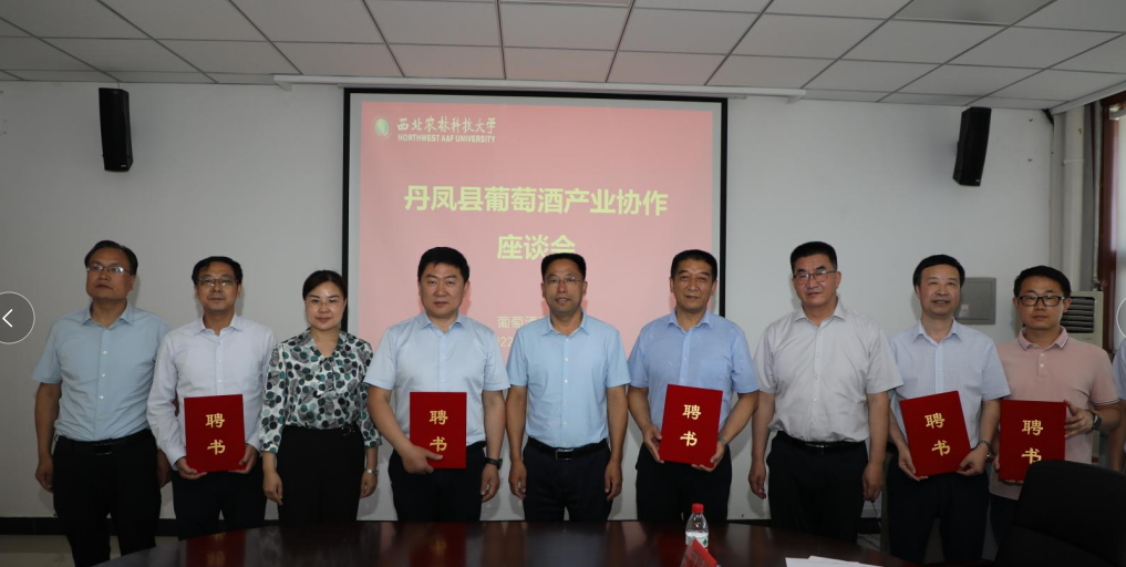 01917a7d11e044b6ab537298b94e9e31.png 01917a7d11e044b6ab537298b94e9e31.png