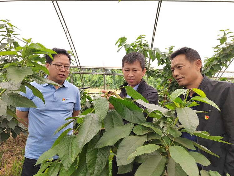 da6c6a75796f427aaadb2f1478709f5d.png da6c6a75796f427aaadb2f1478709f5d.png