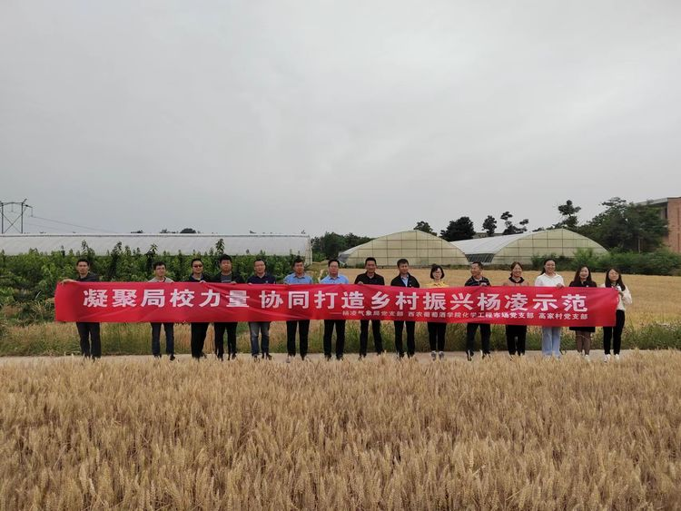 f5f4cfc3feb0439b8fc8cfc98ef7d818.png f5f4cfc3feb0439b8fc8cfc98ef7d818.png