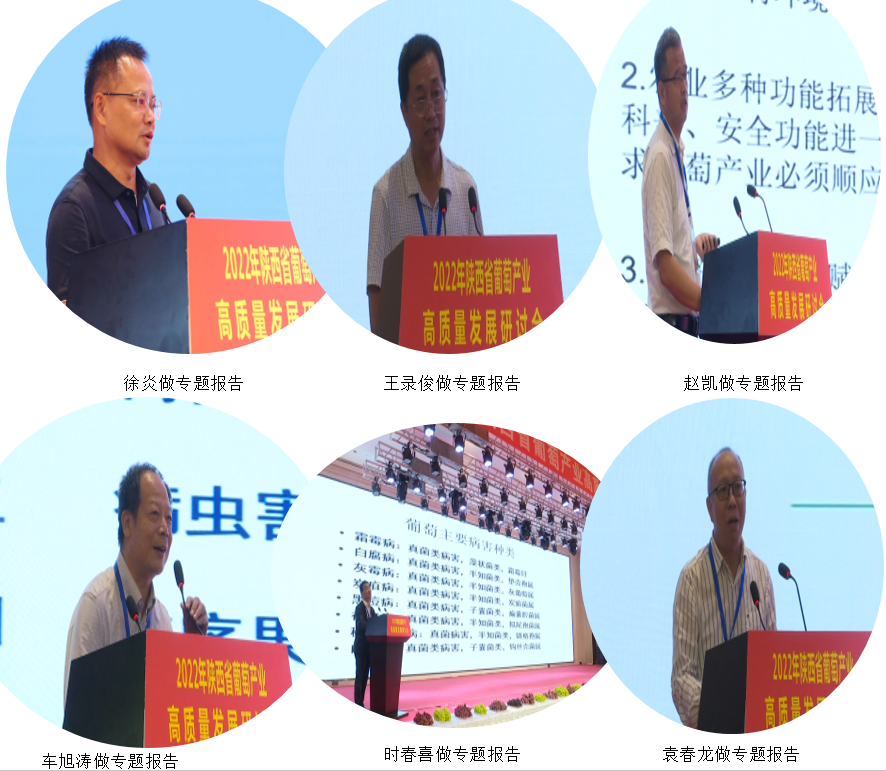 aa07cd61a0dd4ebe8c5ed9a921974d3d.png aa07cd61a0dd4ebe8c5ed9a921974d3d.png