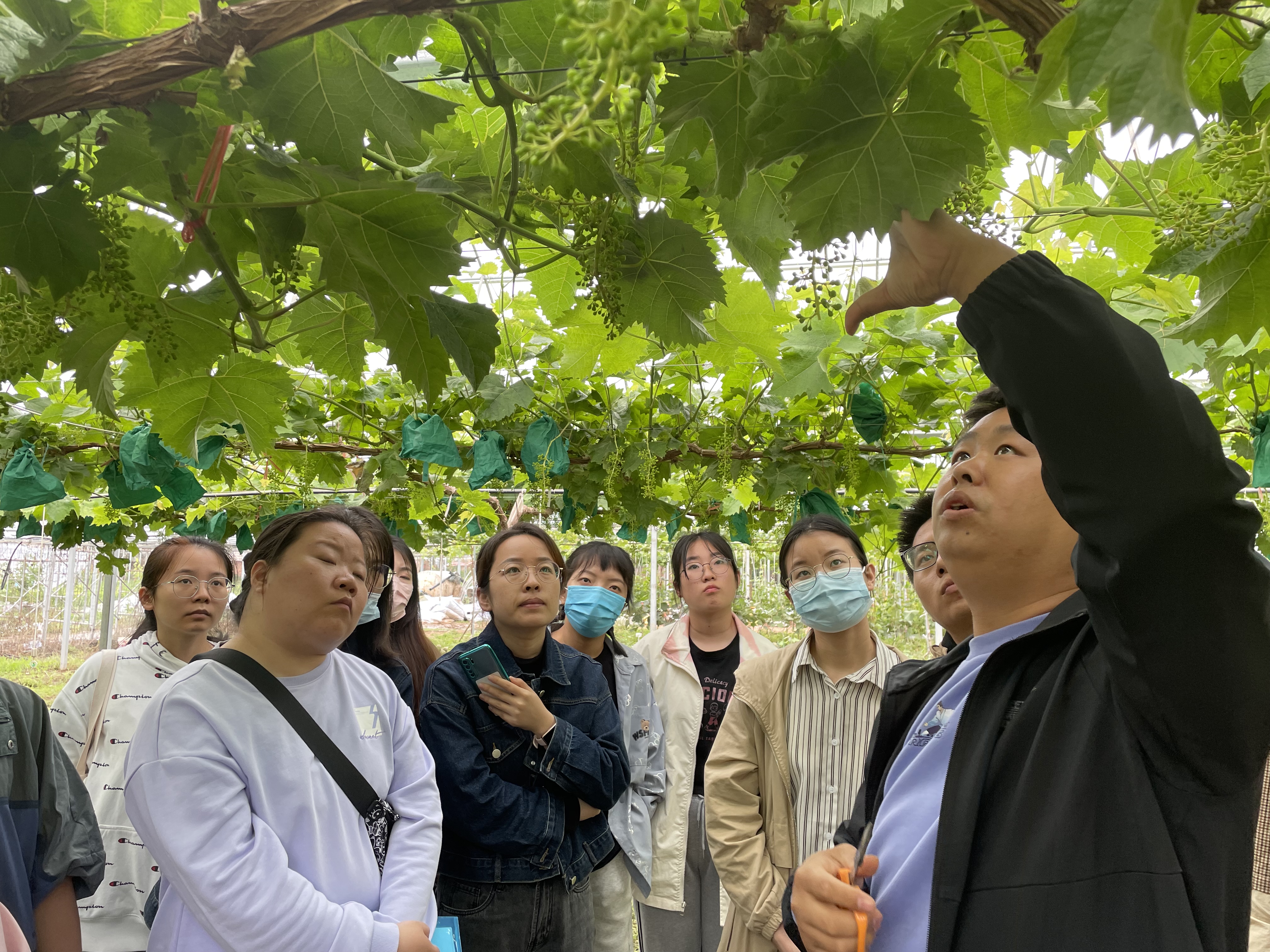 0480cc3b339a4015b5476d221b97ad52.jpg 0480cc3b339a4015b5476d221b97ad52.jpg