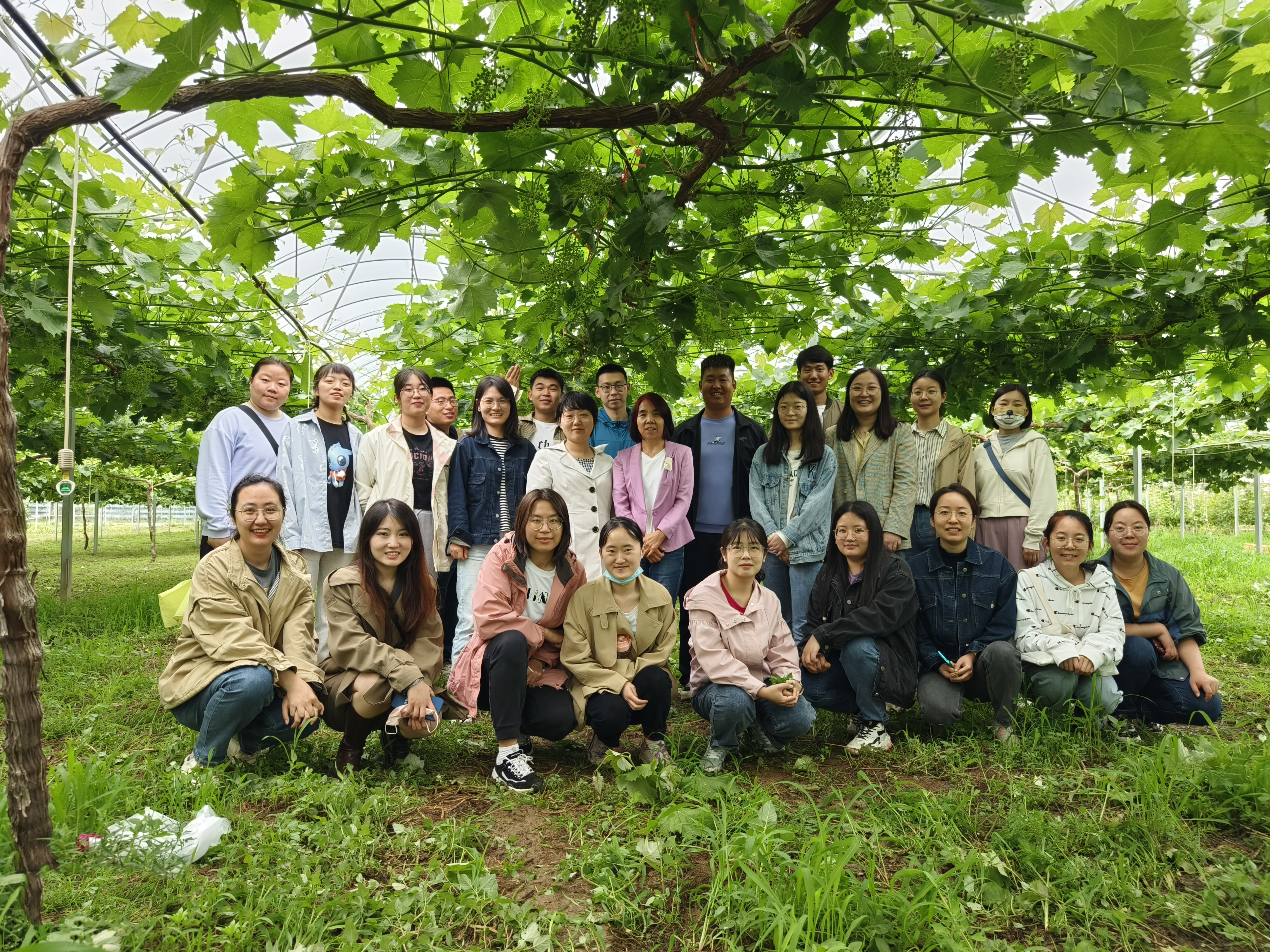 969a6f3d08364175b605d5aa5482f74f.jpg 969a6f3d08364175b605d5aa5482f74f.jpg